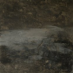 dans la lumiere